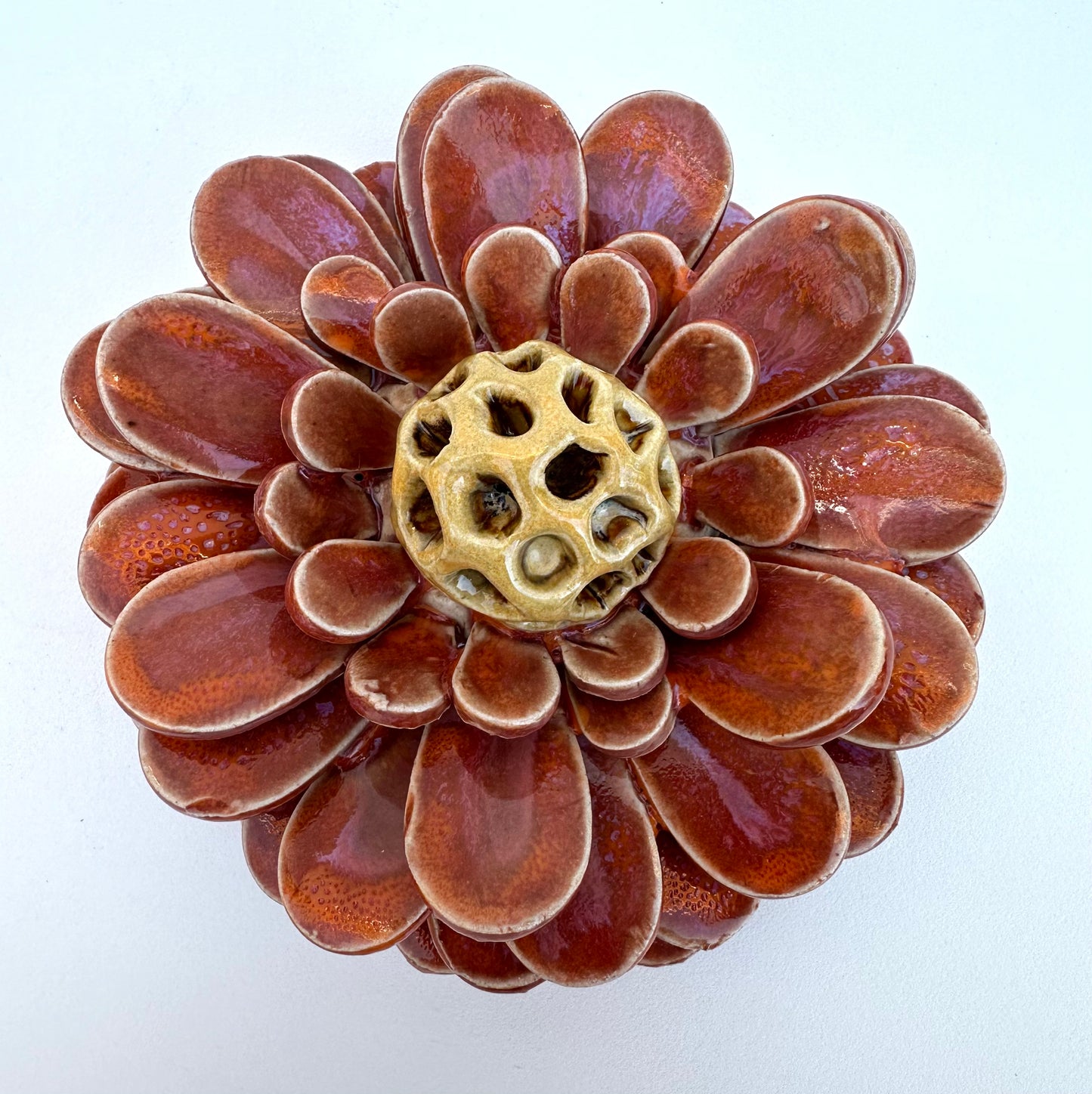 Pink and Orange Daisy Wall Flower