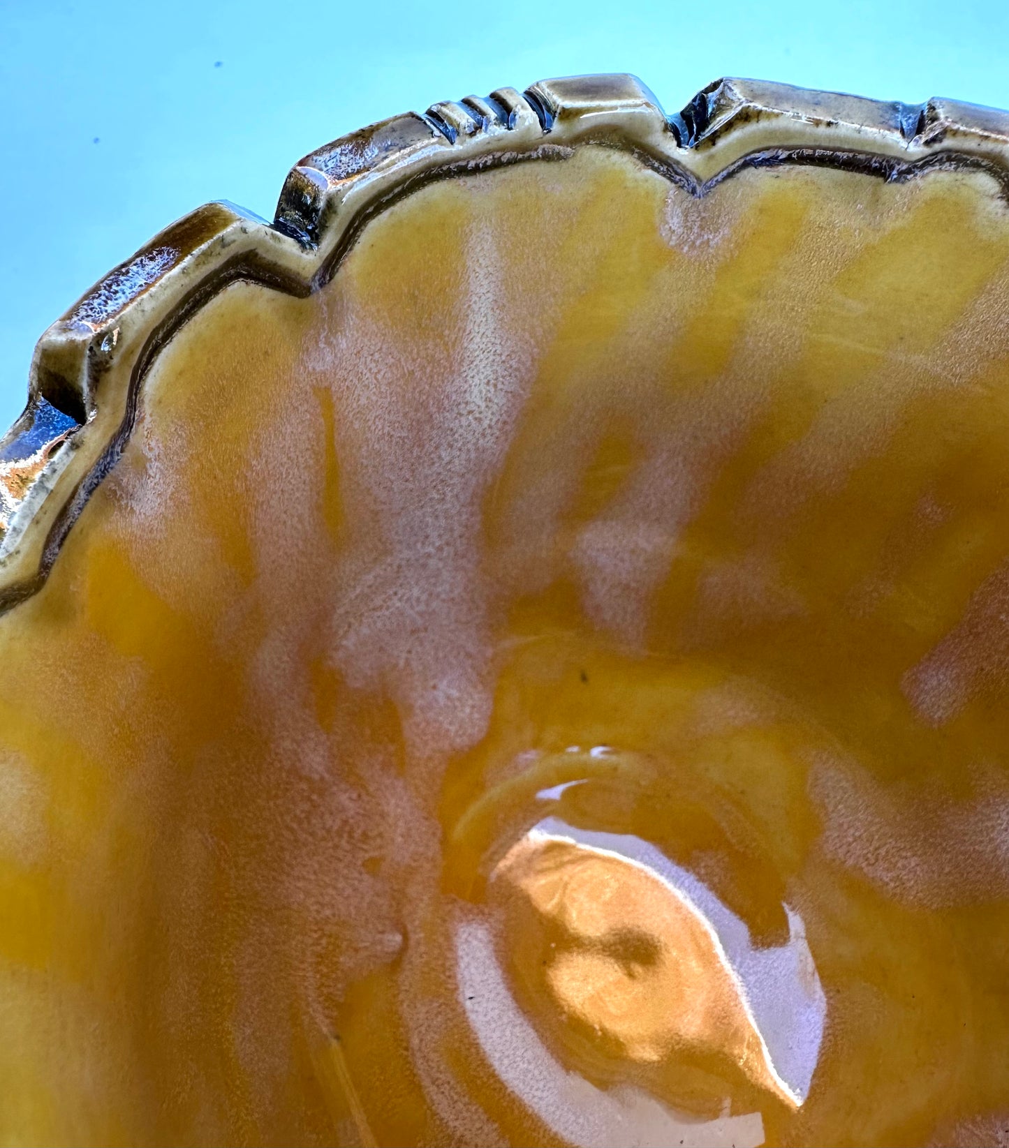 Bowl with honeybees and daisies on honeycombs