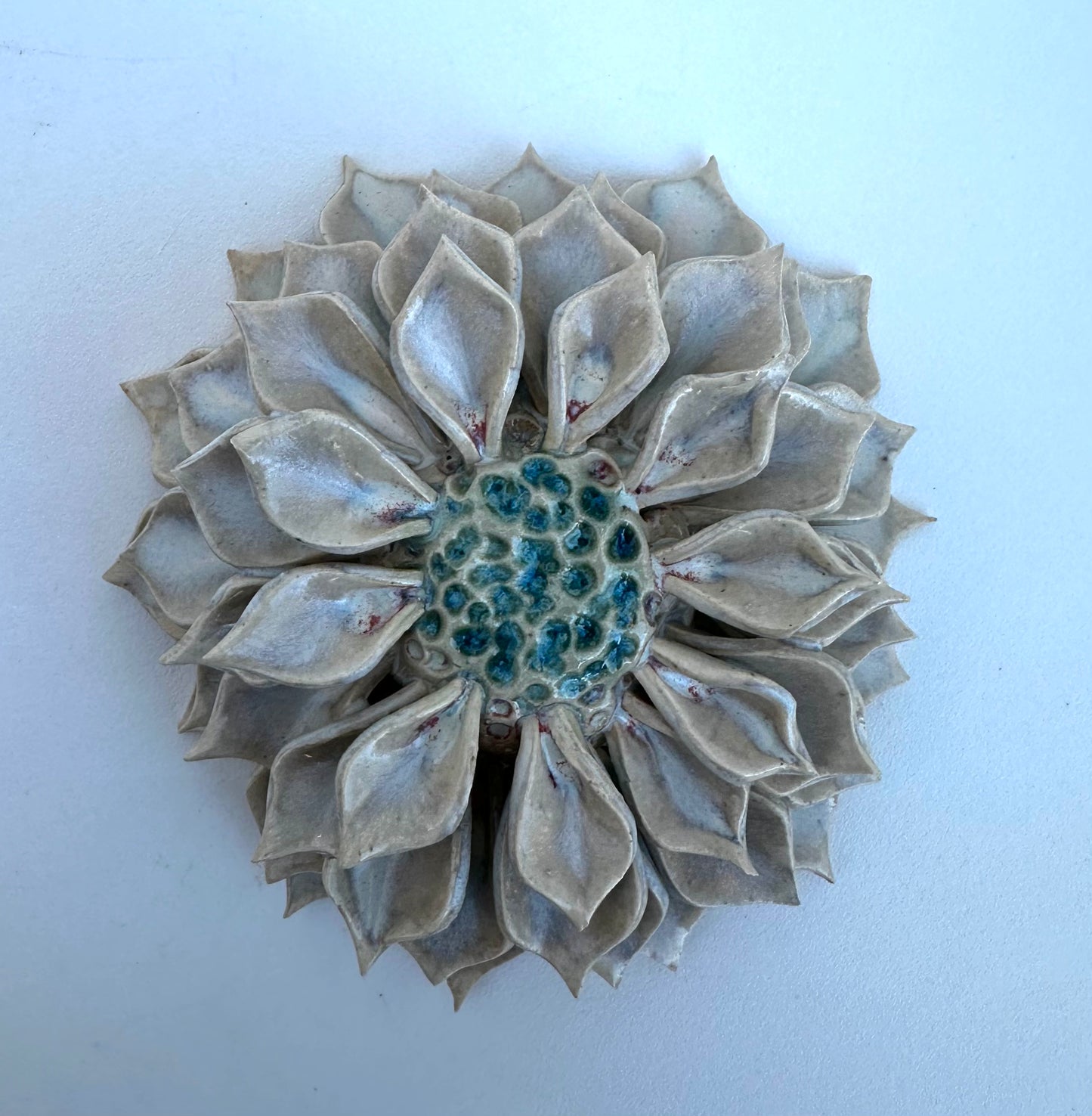 Small white wall Dahlia flower