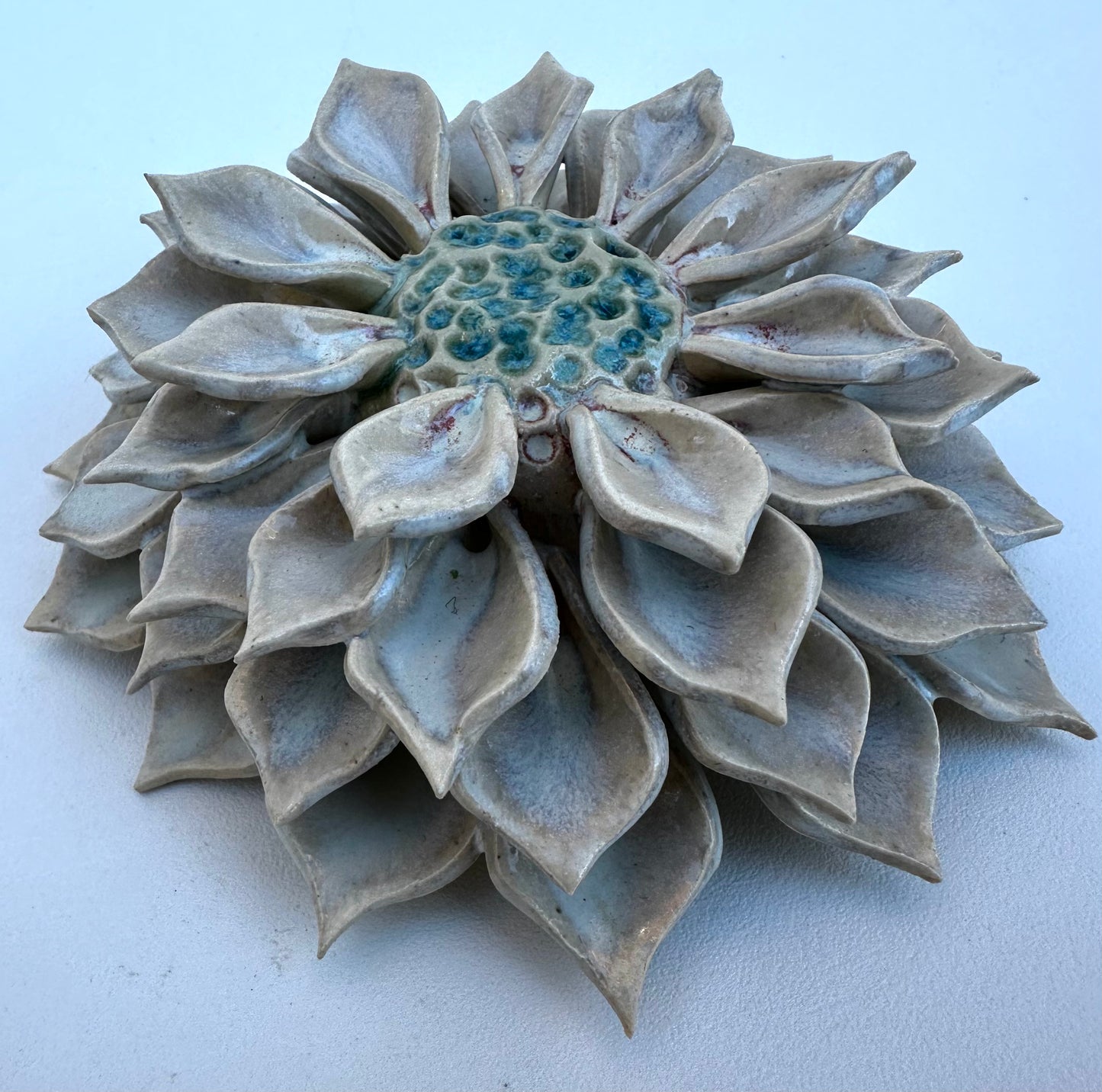 Small white wall Dahlia flower